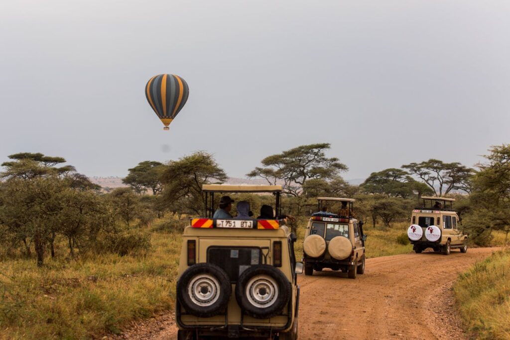 Kenya and Tanzania Safaris