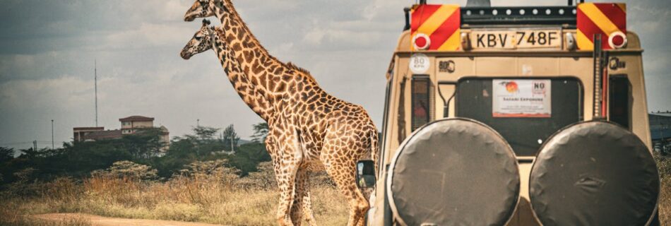 Kenya & Tanzania Budget Safari